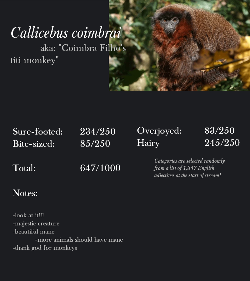 Callicebus coimbrai